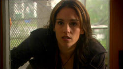 Click thumbnail for full size Amy Jo Johnson picture