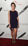 th_22908_hilaryrhoda2ndannualbentonlearningbenefittikipetercelebritycity003_123_57lo.jpg